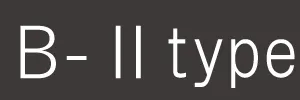 タイプB2